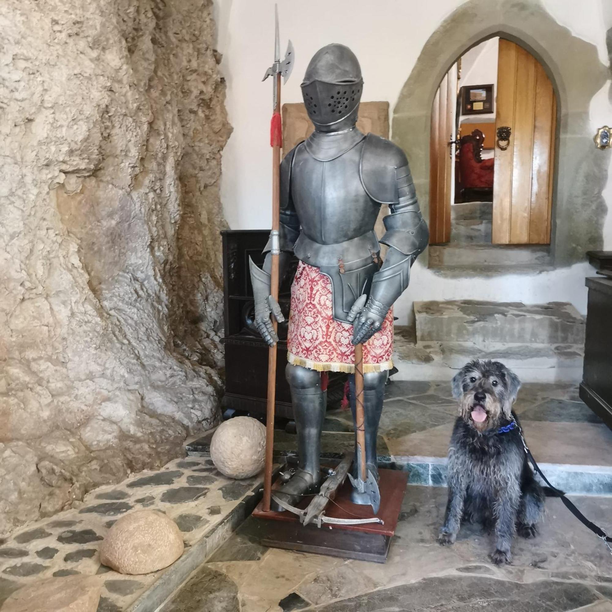 Burg Hermannstein - Monks Room ヴェッツラー エクステリア 写真